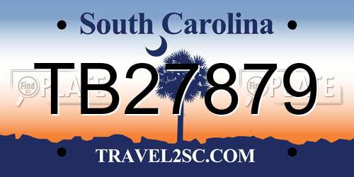 TB27879 South Carolina License Plate