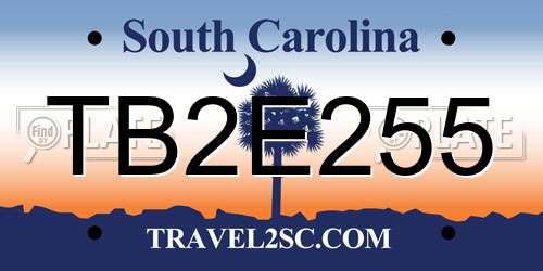 TB2E255 South Carolina License Plate