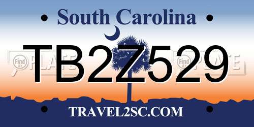 TB2Z529 South Carolina License Plate