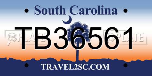 TB36561 South Carolina License Plate