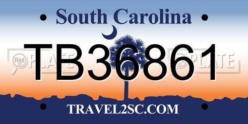 TB36861 South Carolina License Plate