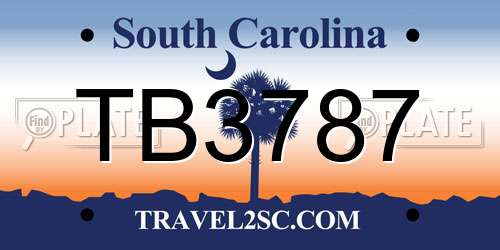 TB3787 South Carolina License Plate