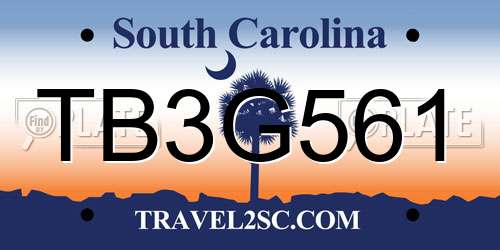 TB3G561 South Carolina License Plate