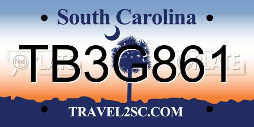 TB3G861 South Carolina License Plate
