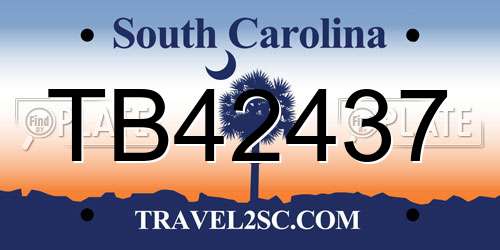 TB42437 South Carolina License Plate