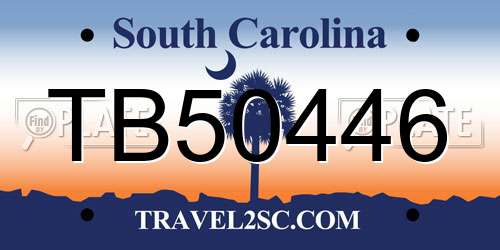 TB50446 South Carolina License Plate