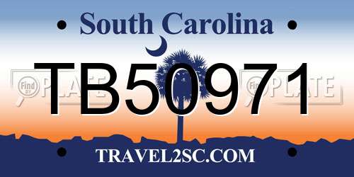 TB50971 South Carolina License Plate