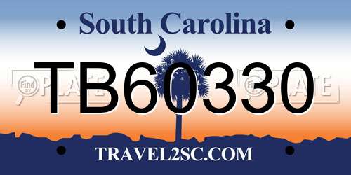 TB60330 South Carolina License Plate