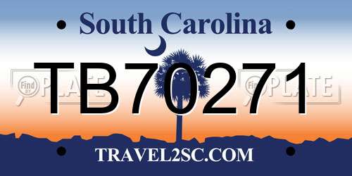 TB70271 South Carolina License Plate