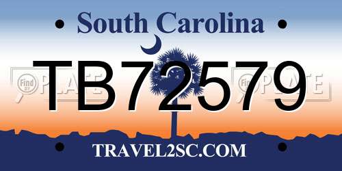 TB72579 South Carolina License Plate