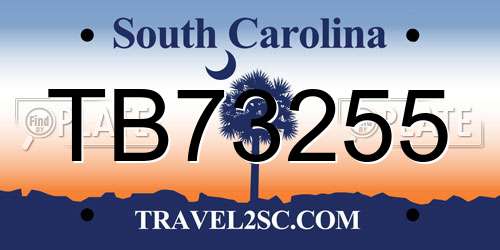 TB73255 South Carolina License Plate