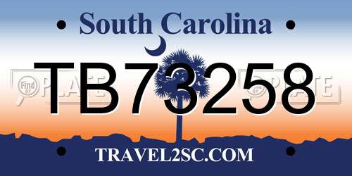 TB73258 South Carolina License Plate