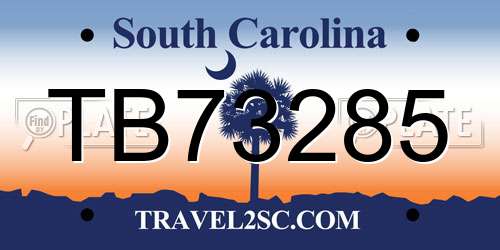 TB73285 South Carolina License Plate