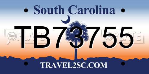 TB73755 South Carolina License Plate