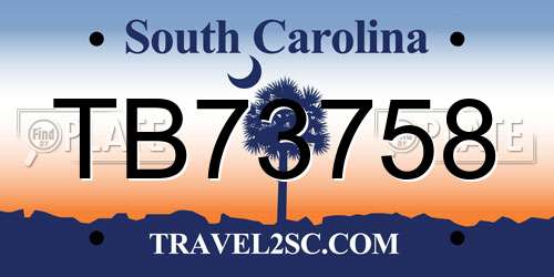 TB73758 South Carolina License Plate