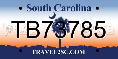 TB73785 South Carolina License Plate