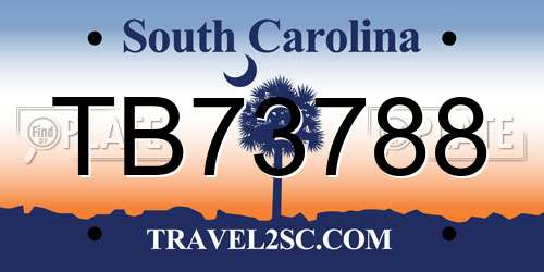 TB73788 South Carolina License Plate