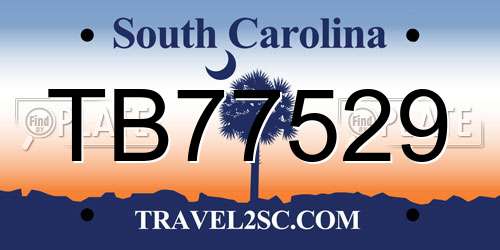 TB77529 South Carolina License Plate
