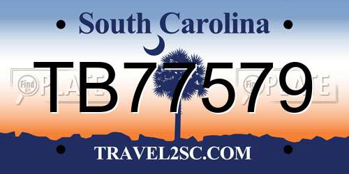 TB77579 South Carolina License Plate