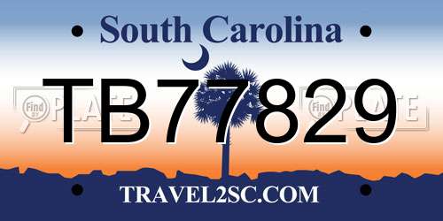 TB77829 South Carolina License Plate