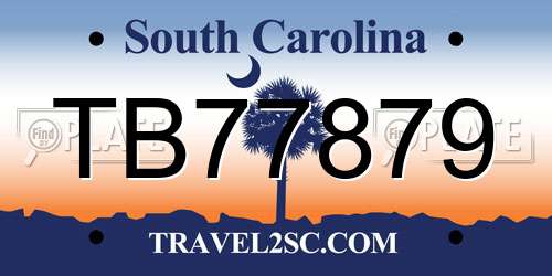 TB77879 South Carolina License Plate