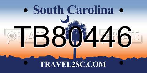 TB80446 South Carolina License Plate