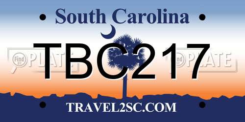 TBC217 South Carolina License Plate