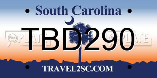 TBD290 South Carolina License Plate