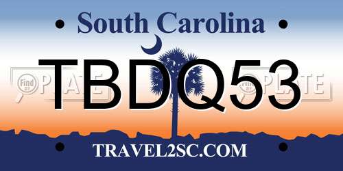 TBDQ53 South Carolina License Plate