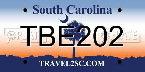 TBE202 South Carolina License Plate