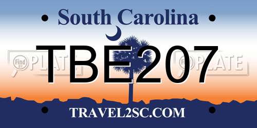 TBE207 South Carolina License Plate