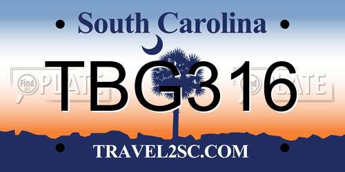 TBG316 South Carolina License Plate