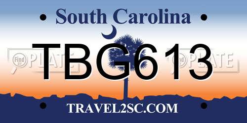 TBG613 South Carolina License Plate