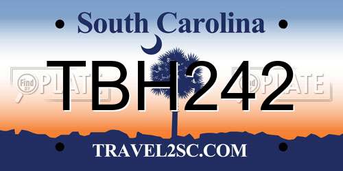 TBH242 South Carolina License Plate