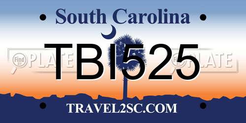 TBI525 South Carolina License Plate