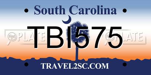 TBI575 South Carolina License Plate