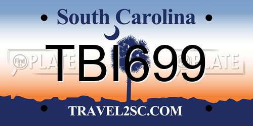 TBI699 South Carolina License Plate