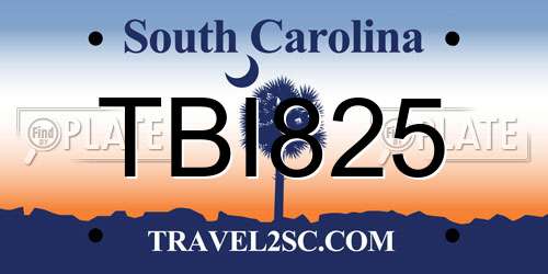 TBI825 South Carolina License Plate