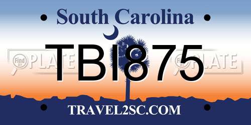 TBI875 South Carolina License Plate
