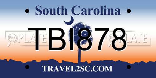 TBI878 South Carolina License Plate