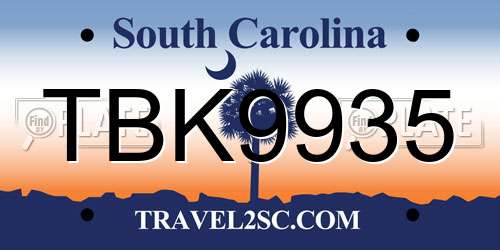 TBK9935 South Carolina License Plate