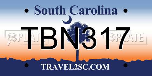 TBN317 South Carolina License Plate