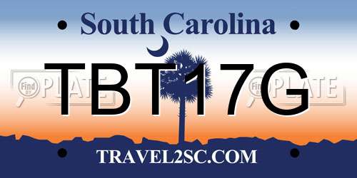 TBT17G South Carolina License Plate