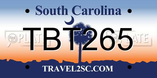 TBT265 South Carolina License Plate
