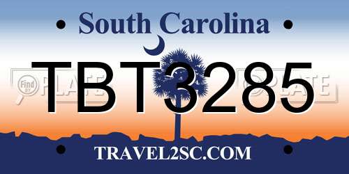 TBT3285 South Carolina License Plate
