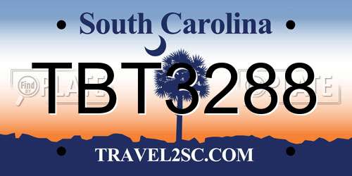 TBT3288 South Carolina License Plate