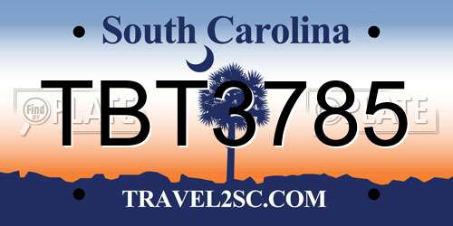 TBT3785 South Carolina License Plate