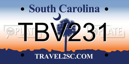 TBV231 South Carolina License Plate