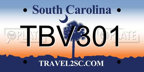 TBV301 South Carolina License Plate