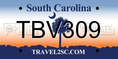 TBV309 South Carolina License Plate
